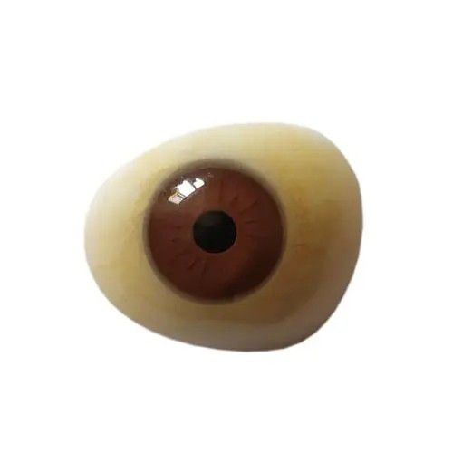 義眼廠(chǎng)家